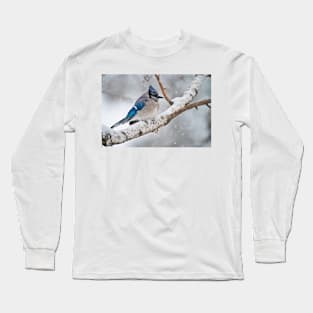 BlueJay In Winter Long Sleeve T-Shirt